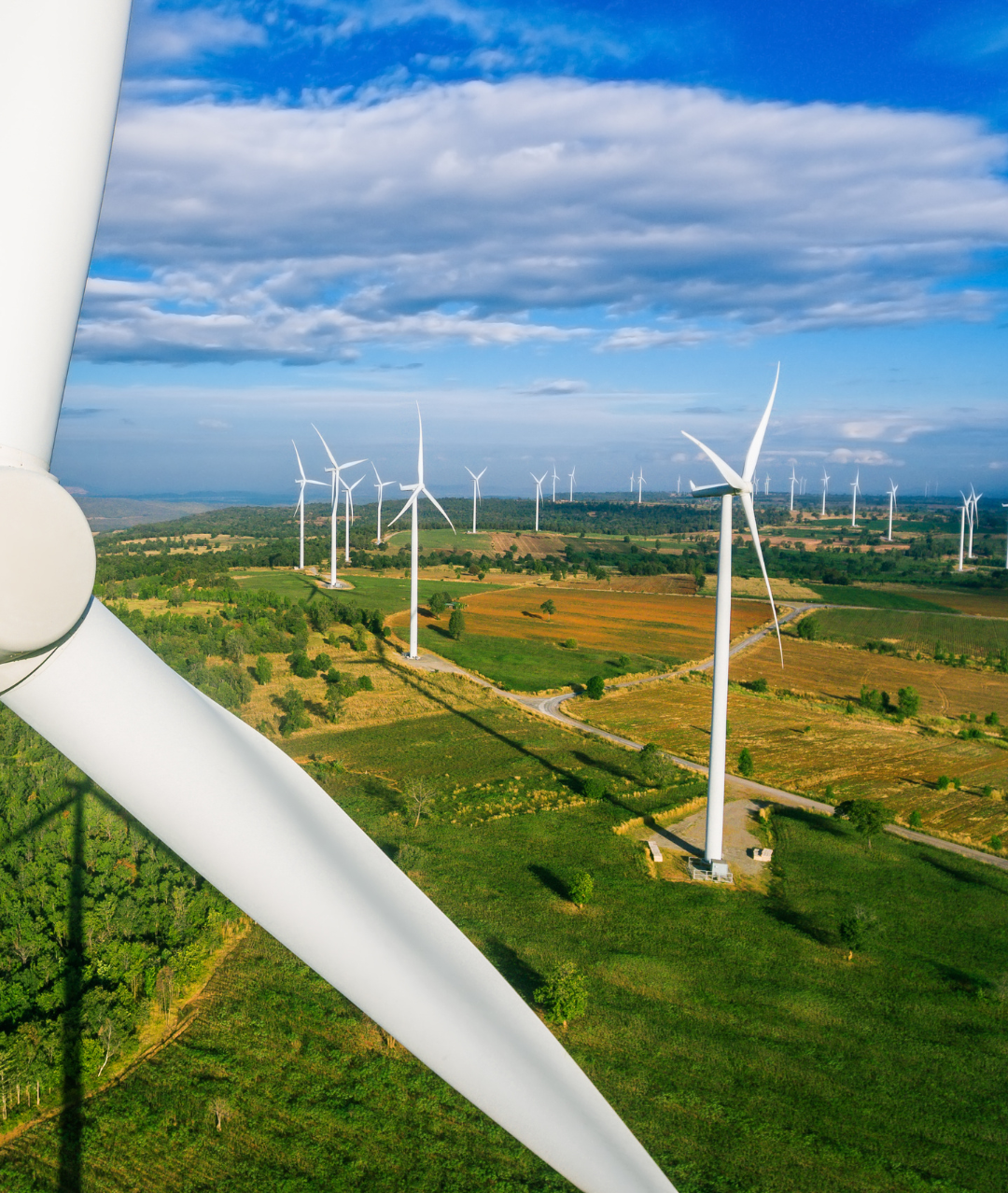 Expansive wind farm under a clear blue sky