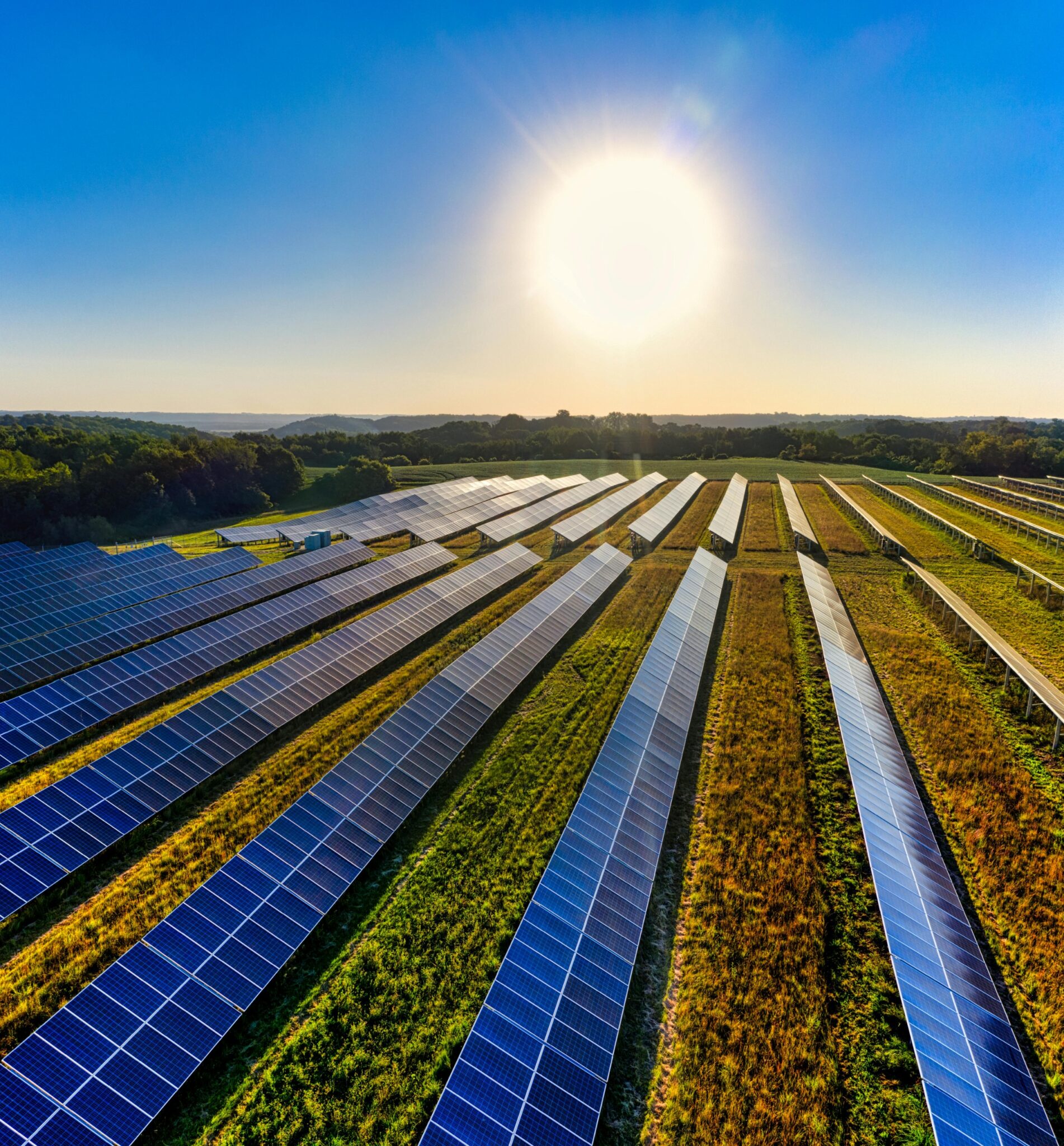 Solar panels under a bright sun representing India's renewable energy transition
