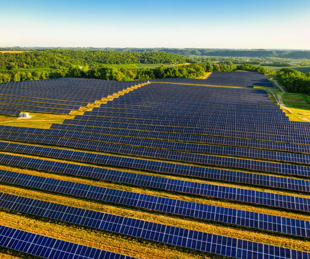 Vast solar panel installation representing clean energy for Delhi