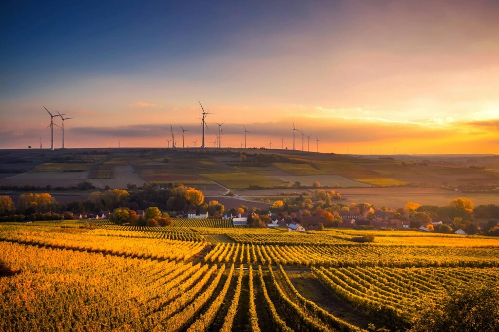 Wind farm landscape at sunrise representing India's net-zero journey