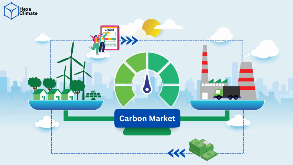 Digital representation of a carbon credit token and the global carbon market